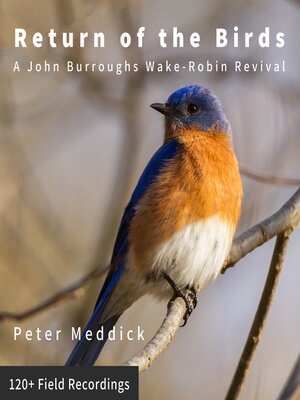 cover image of Return of the Birds